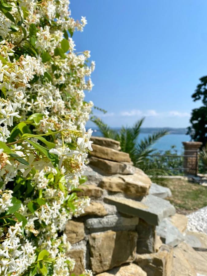 Sunvilla Koper Exteriér fotografie