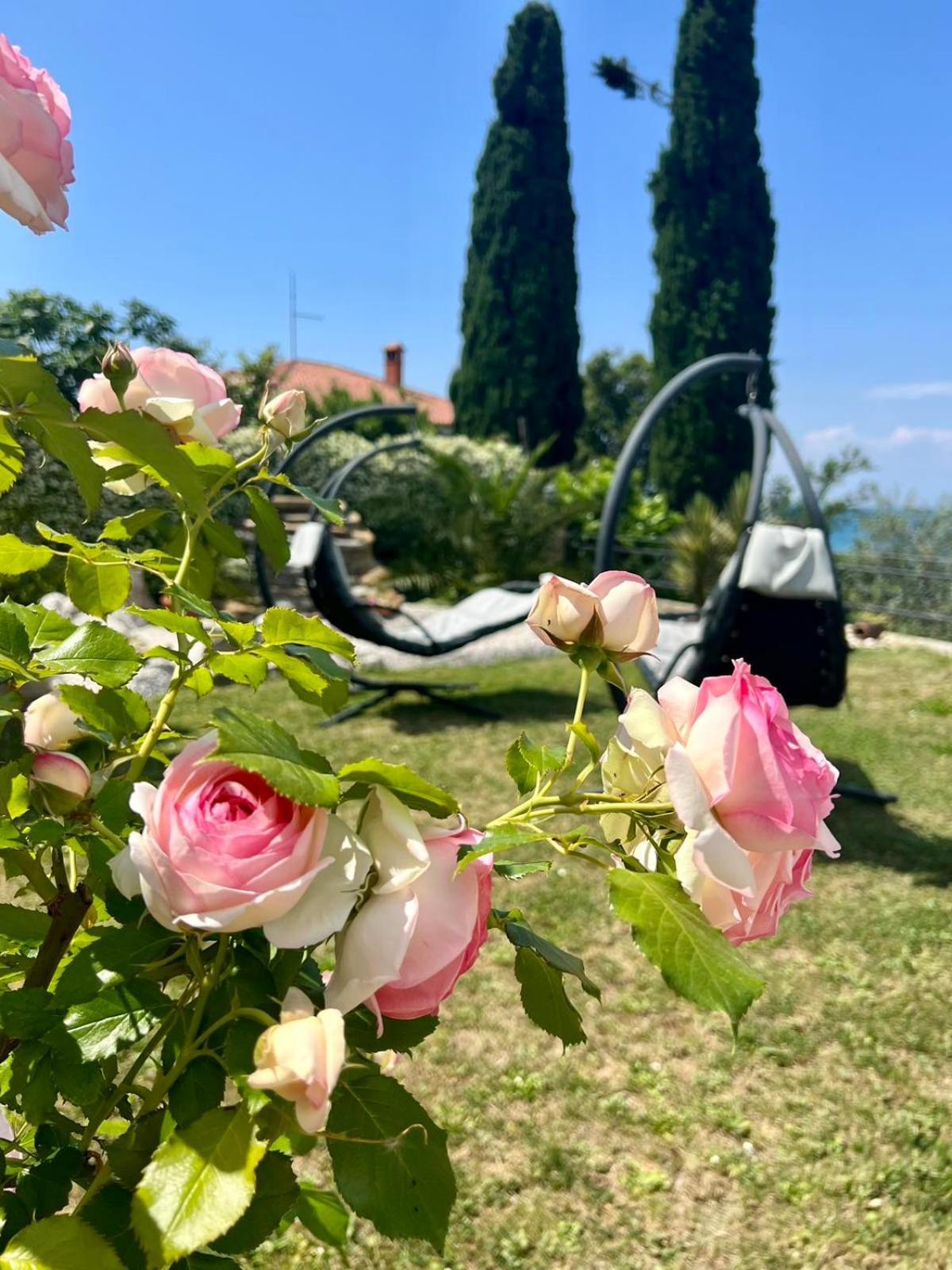 Sunvilla Koper Exteriér fotografie